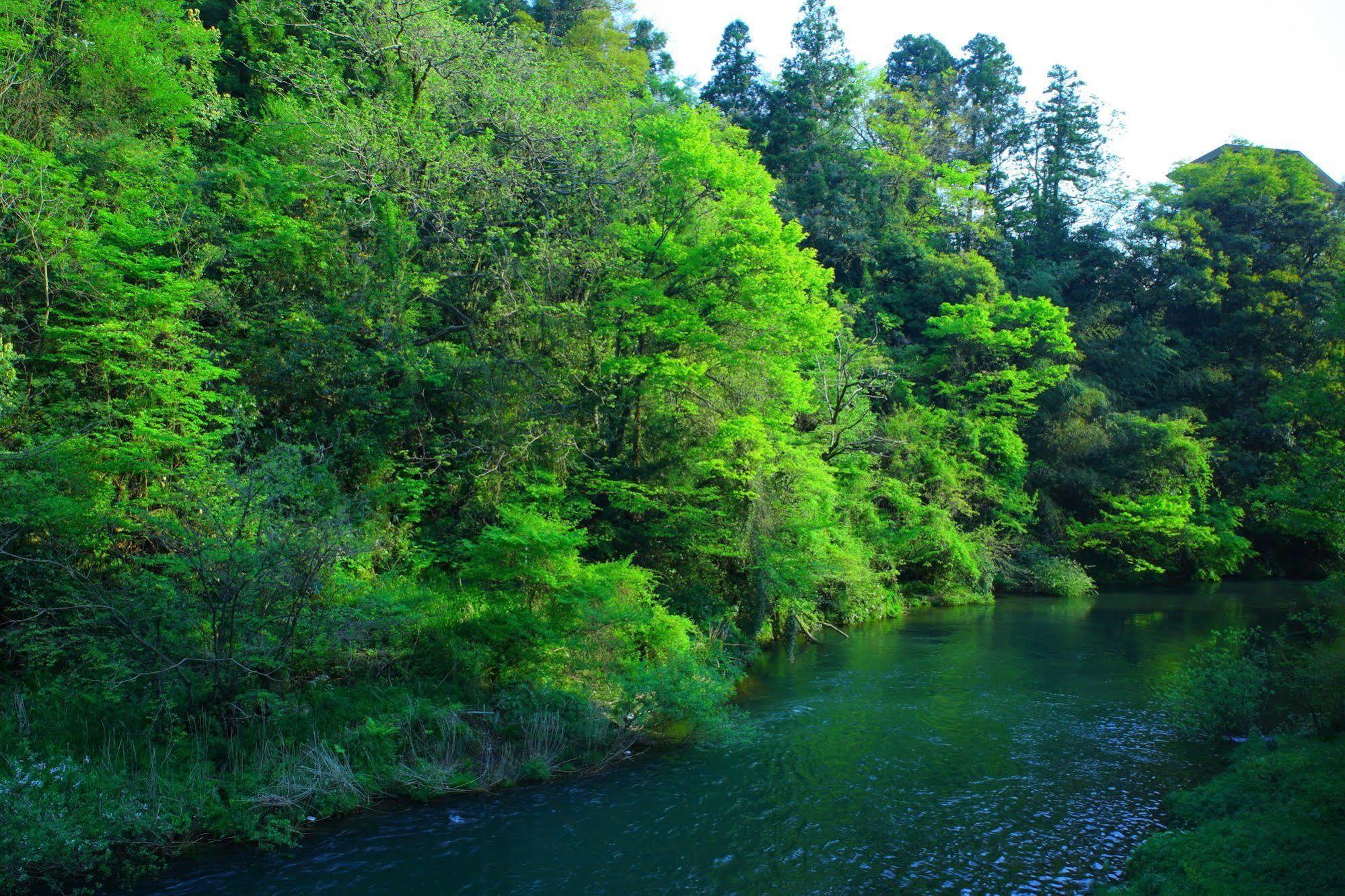 Yamanakaonsen Ohanami Kyubei Kaga  Luaran gambar